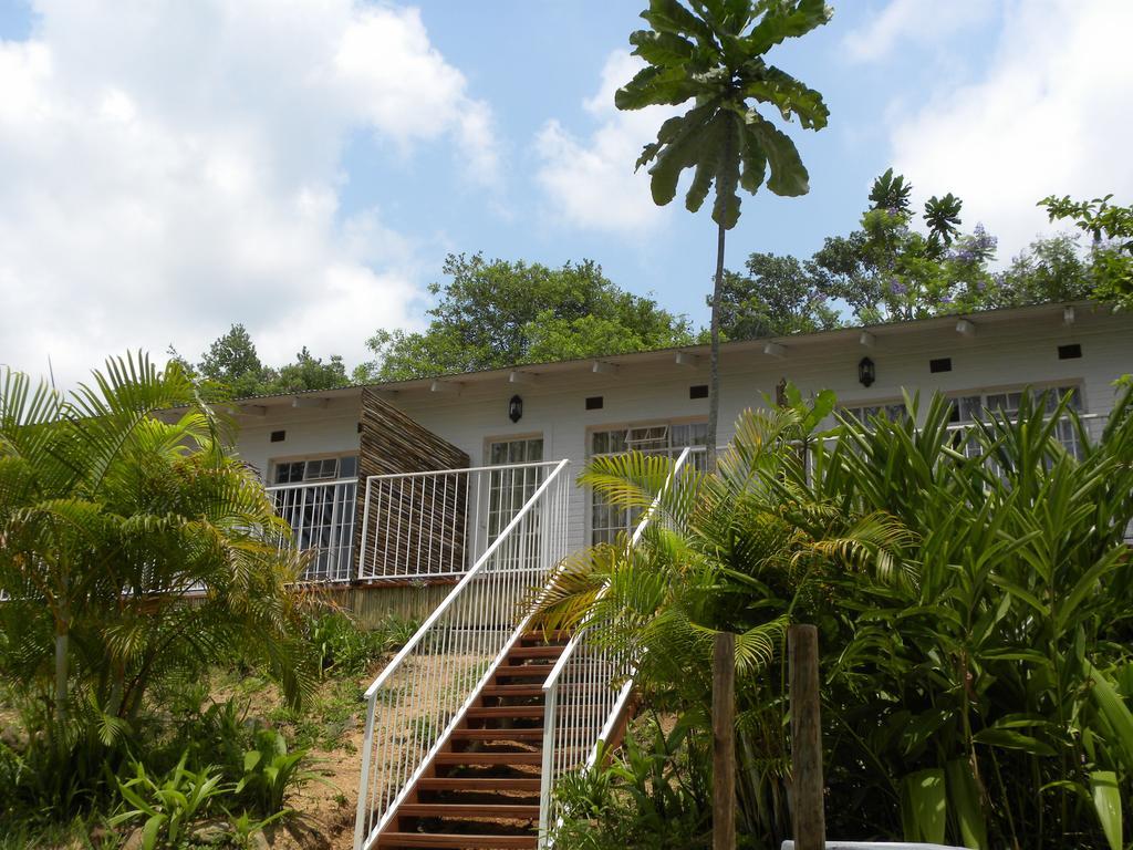 Bush Baby Glen Villa Hazyview Room photo